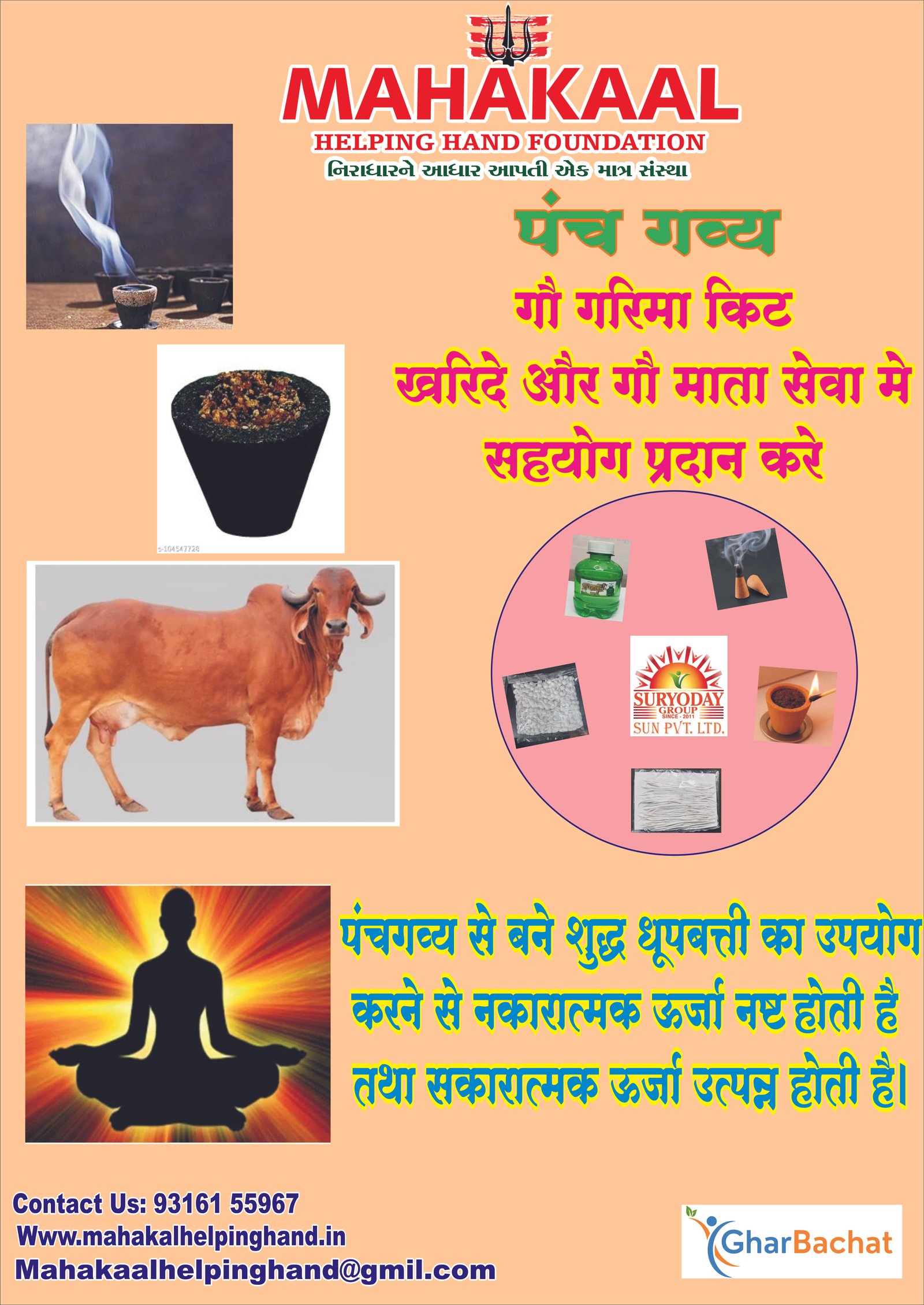 Gau Seva Activity